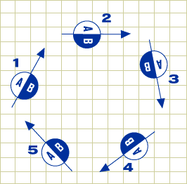 Multiple Measured/Measure Nodes in a State of Equilibrium